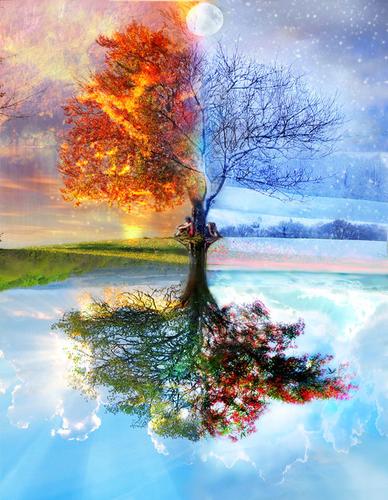 el_arbol_de_la_vida_406175_t0.jpg