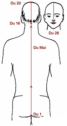 hdumai1.jpg