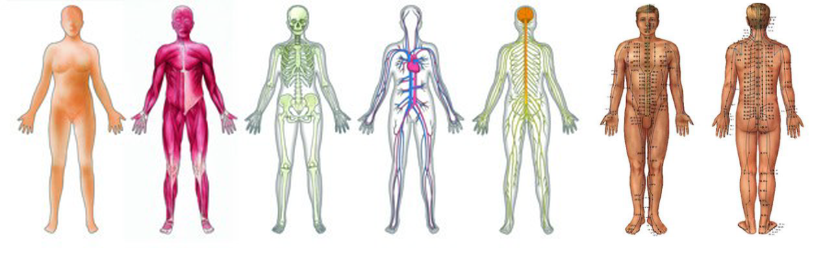 SYSTEM_BODY.png